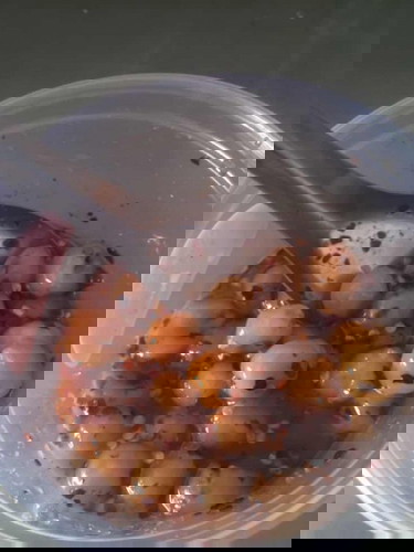 ถามแม่ๆค่ะ คนที่รู้ เราอยากกินมาก