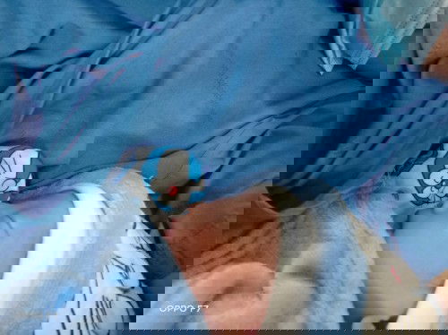 ประสาบการณ์คลอดธรรมชาติ