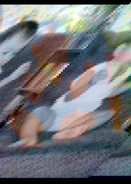 Makan Roti tapi Pelit