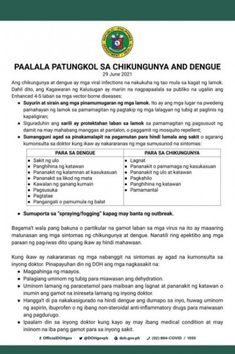 Lamok is really NOT OKS!