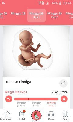 Menunggu gelombang cinta