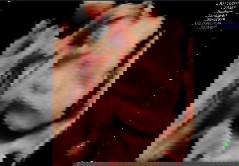 HPL september bun😘😘😘