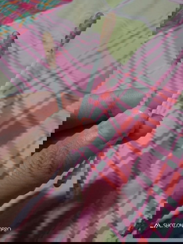 เลือดหรือประจำเดือน