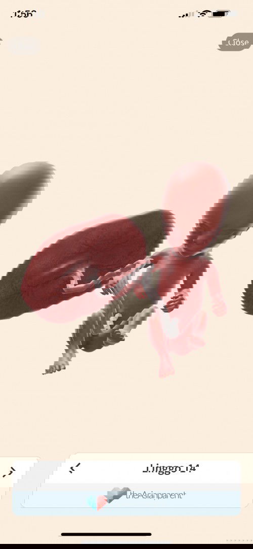 makikita na ba ang gender ni baby pag 4 months na siya ?