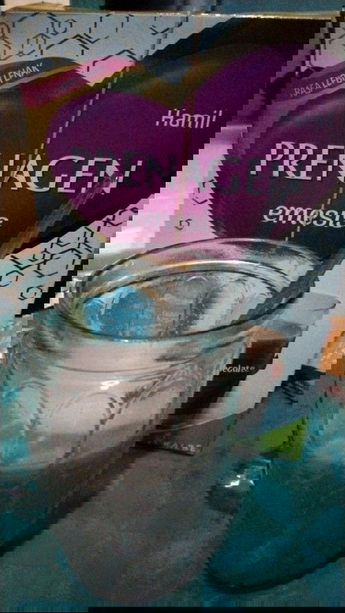 adakah yang sama kaya aku di awal kehamilan minum susu prenagen?