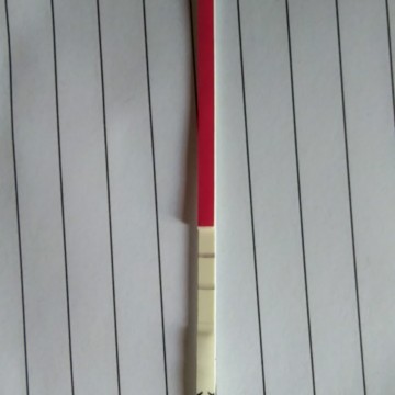 OPK TEST