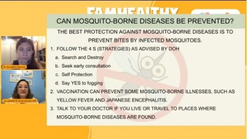 Can mosquito-borne diseases be prevented?