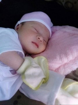 Tham khảo ý kiến