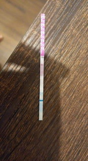 มาแล้วใช่ไหม