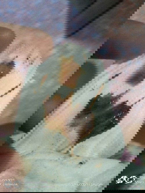 37wks Discharge Advice