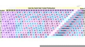 Menentukan JK kehamilan lewat hpht dan usia bunda