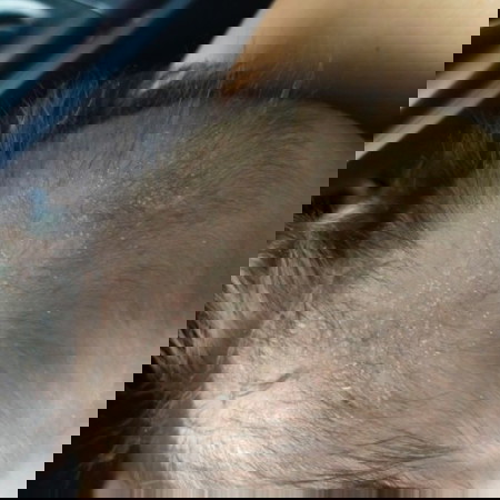 Balakubak???