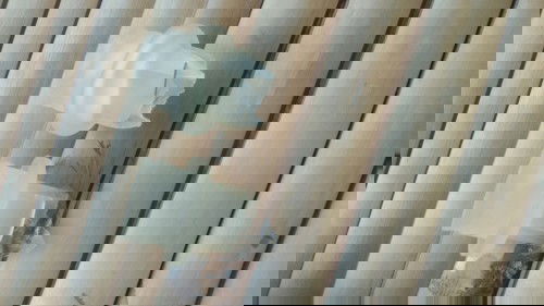 อุปกรณ์ เครื่องปั๊มนม