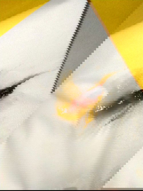 39 สัปดาห์ 3วัน