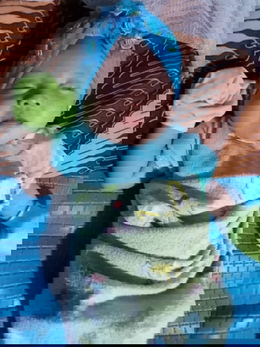 Flasback 1 bulan yg lalu