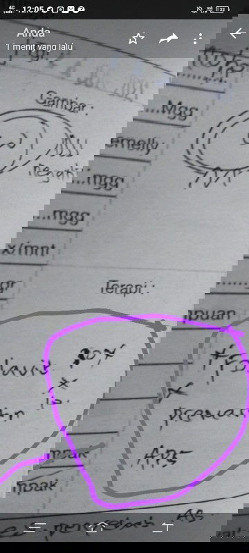 Hamil 12minggu Janin tidak berkembang dan disaran kan kuret.