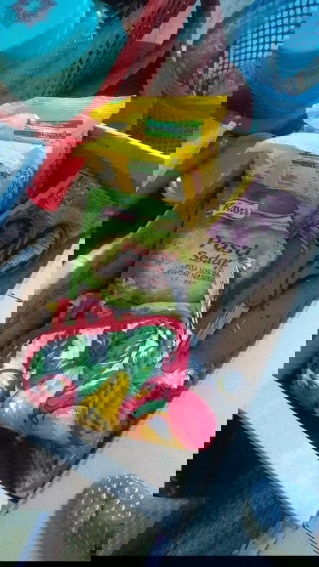 Adakah sini yg sudi mnghulurkan bantuan?