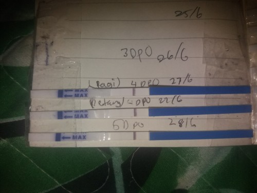 Upt makin terang..tpi negatif guna upt brand lain..konpius