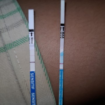 lailalail051@gmail.com