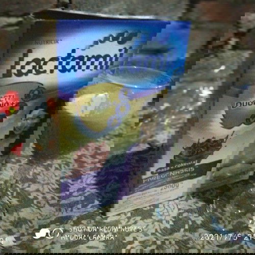 Bolehkah susu lactamil pregnansis di minum di trimester pertama