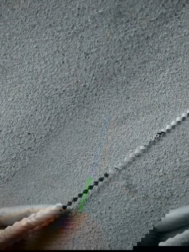 แบบนี้ท้องไหมคะพึ่งตรวจวันนี้ตอนตีห้าค่ะ