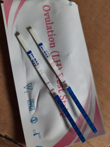 ovulation test to early pregnancy