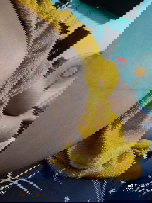 สอบถามหน่อยคะ