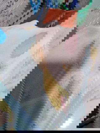 มีมูกเลือดออก