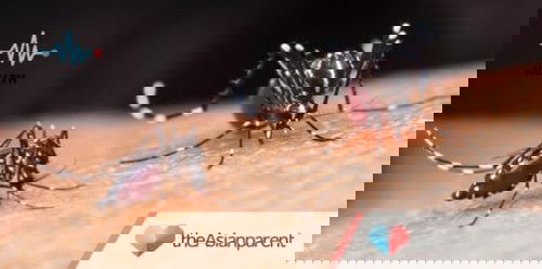 Protektado na ba ang pamilya sa mga sakit na dulot ng lamok?Anong paghahanda ang inyong ginagawa para maiwasan ito?