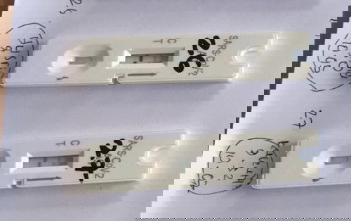 Bun hamil dan postif covid-19