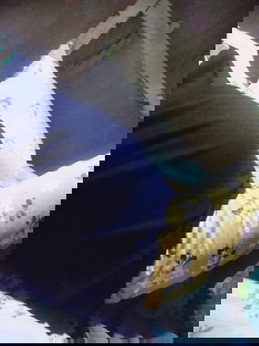 Hello mga sis normal ba na ganyan Lang tummy pag 29weeks kana .
#firstimemom
#septemberduedate