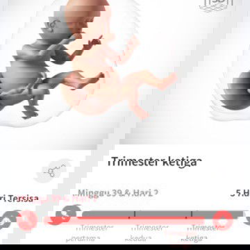 Menunggu gelombang cinta