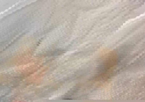 37สัปดาห์กับ1วันหมอนัดผ่า19กรกฏาคมนี้