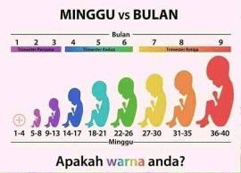 Bun aku baru hamil 7week
Kok kalau inget makanan mau mual-mual gtu wajar gak sih bun 😭😭