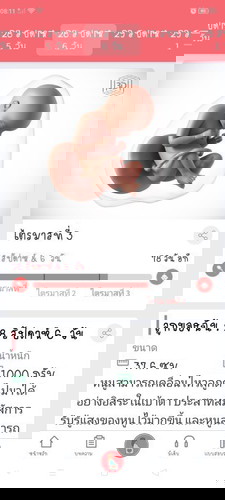 28สัปดาห์6วัน