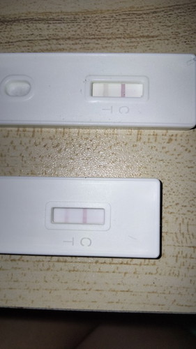 PAANO MO NAHULAAN ANG GENDER?