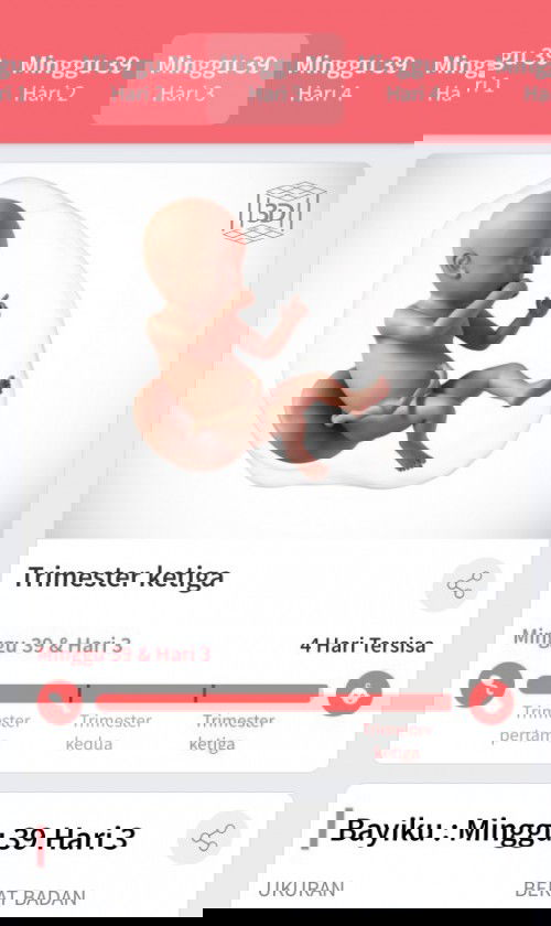 Menunggu gelombang cinta