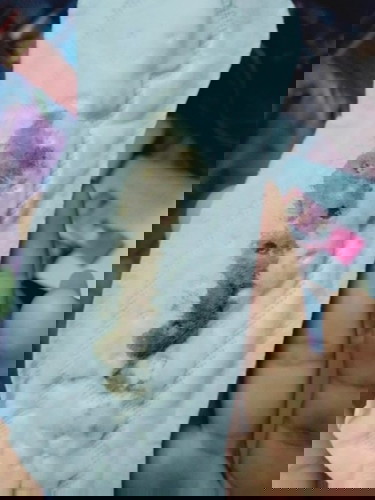 มีเลือดสีน้ำตาลดำออกมาเมื้อกี้ก้อมีเหมือนก้อนเลือดเสียออกมาด้วยท้อได้เดือนกว่าเอง