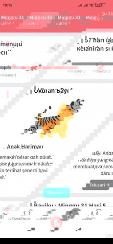 Usia kehamilan masih 31weeks 5days, hpl 5 September
Udah gak sabar pengen lahiran aja
*Baby 👦*