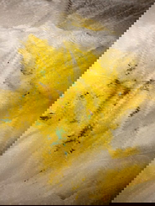 Pup bayi berwarna kuning bercak hijau