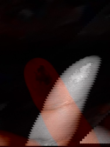 40 weeks pregnant ano pong ibig sabhin ng discharge na to no sign pa din po ako ng labor pls advice