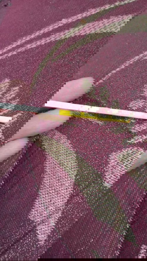 Hamil lagi, baby masih satu tahun, kesundulan