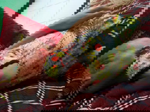 Ada GK babynya YG tidur suka miring ke kanan