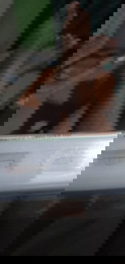 Cara baca hasil tes swab