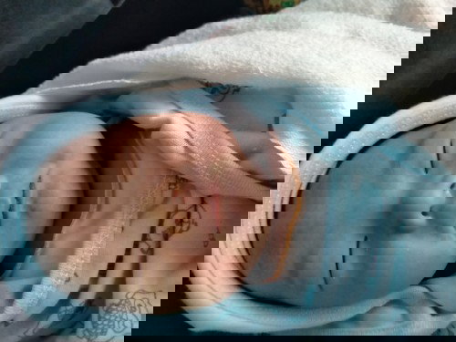 แตกแล้วค่ะบ้านนี้  แตกได้4วันแล้ว38+2W น้ำหนัก3,500.40 คลอดเองค่ะ เวลา14.23ผู้ชายชื่อน้องมาเฟียร์คับ