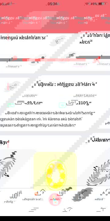 Menuju hari persalinan