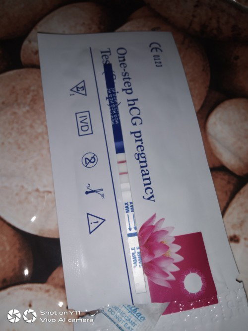 Kehamilan