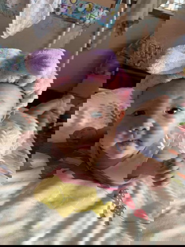 ʕ•ᴥ•ʔ 𝐵𝑎𝑏𝑦 𝐼𝑜𝑢𝑛𝑛𝑛 🧸💕