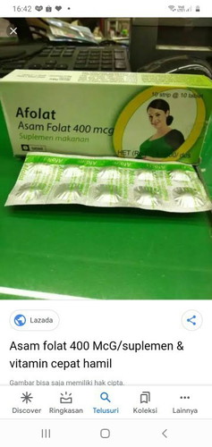 Asam Folat