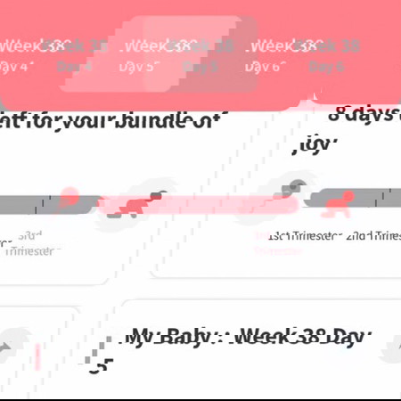 Team July @38 and 5 days